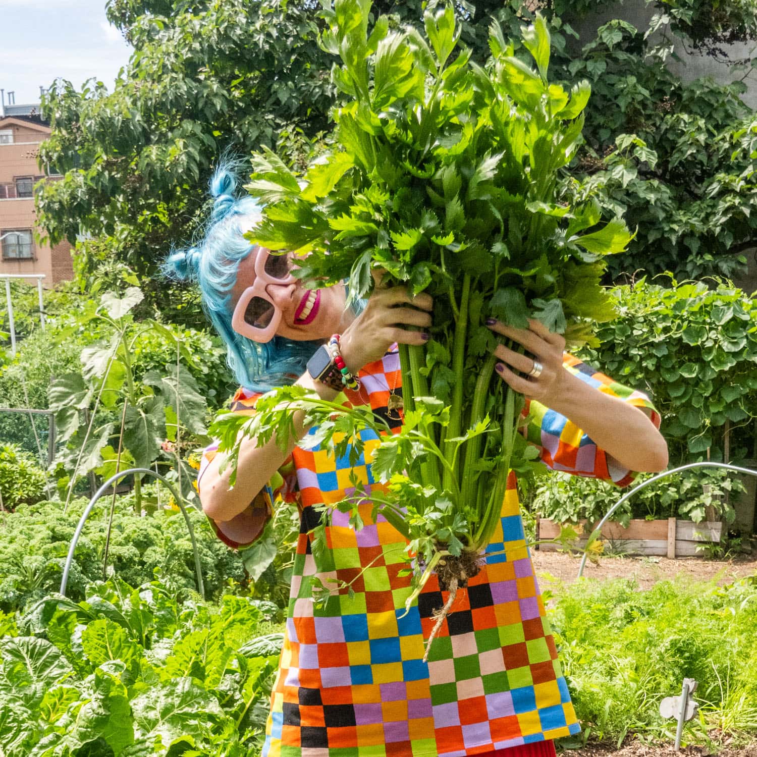 Mastering Celery Germination & Heat: Your Summer Grow Guide